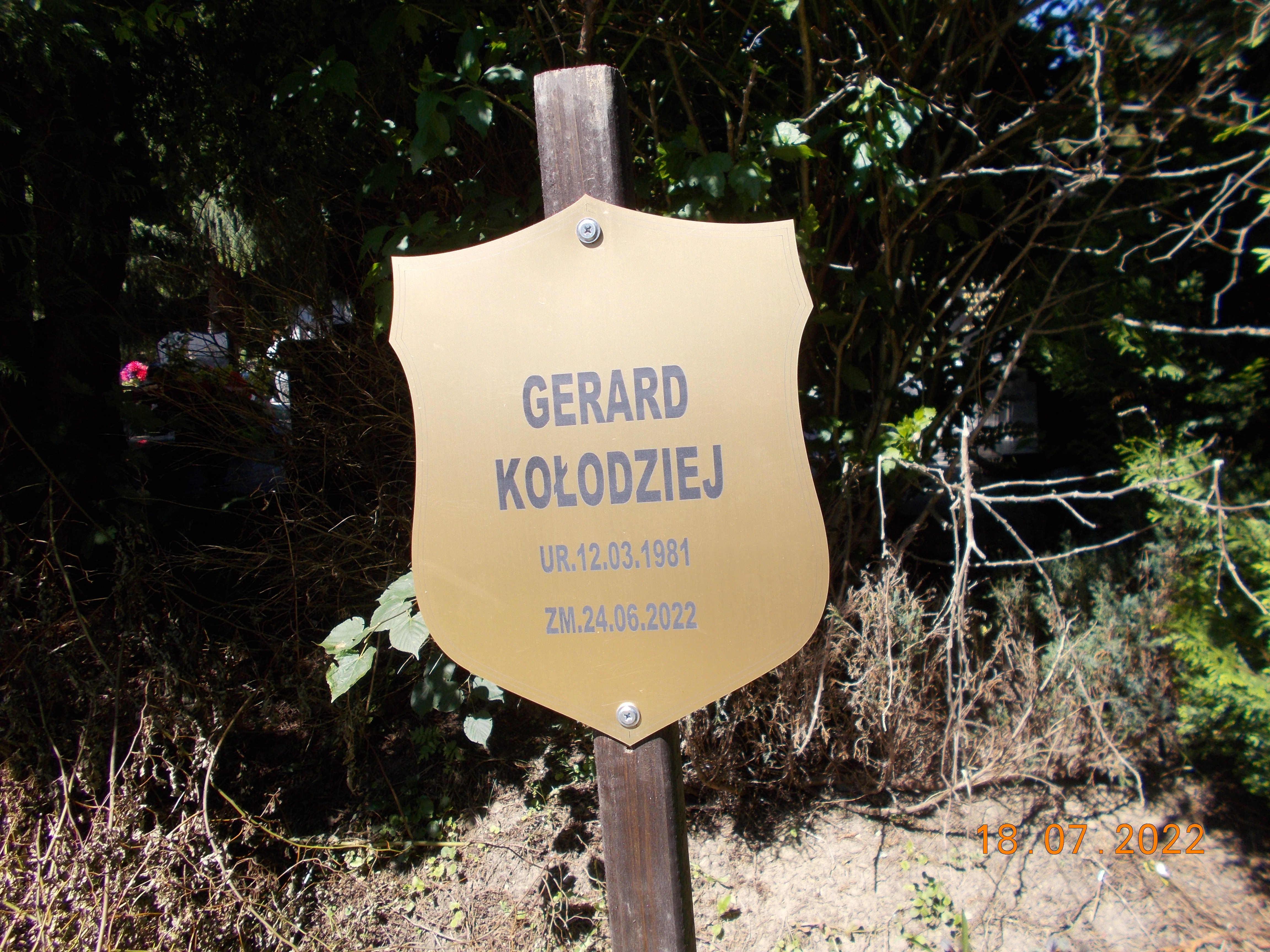 Gerard KOŁODZIEJ 1981 Bielsko-Biała - Grobonet - Wyszukiwarka osób pochowanych