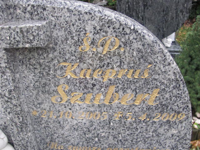 Kacper SZUBERT 2005 Bielsko-Biała - Grobonet - Wyszukiwarka osób pochowanych