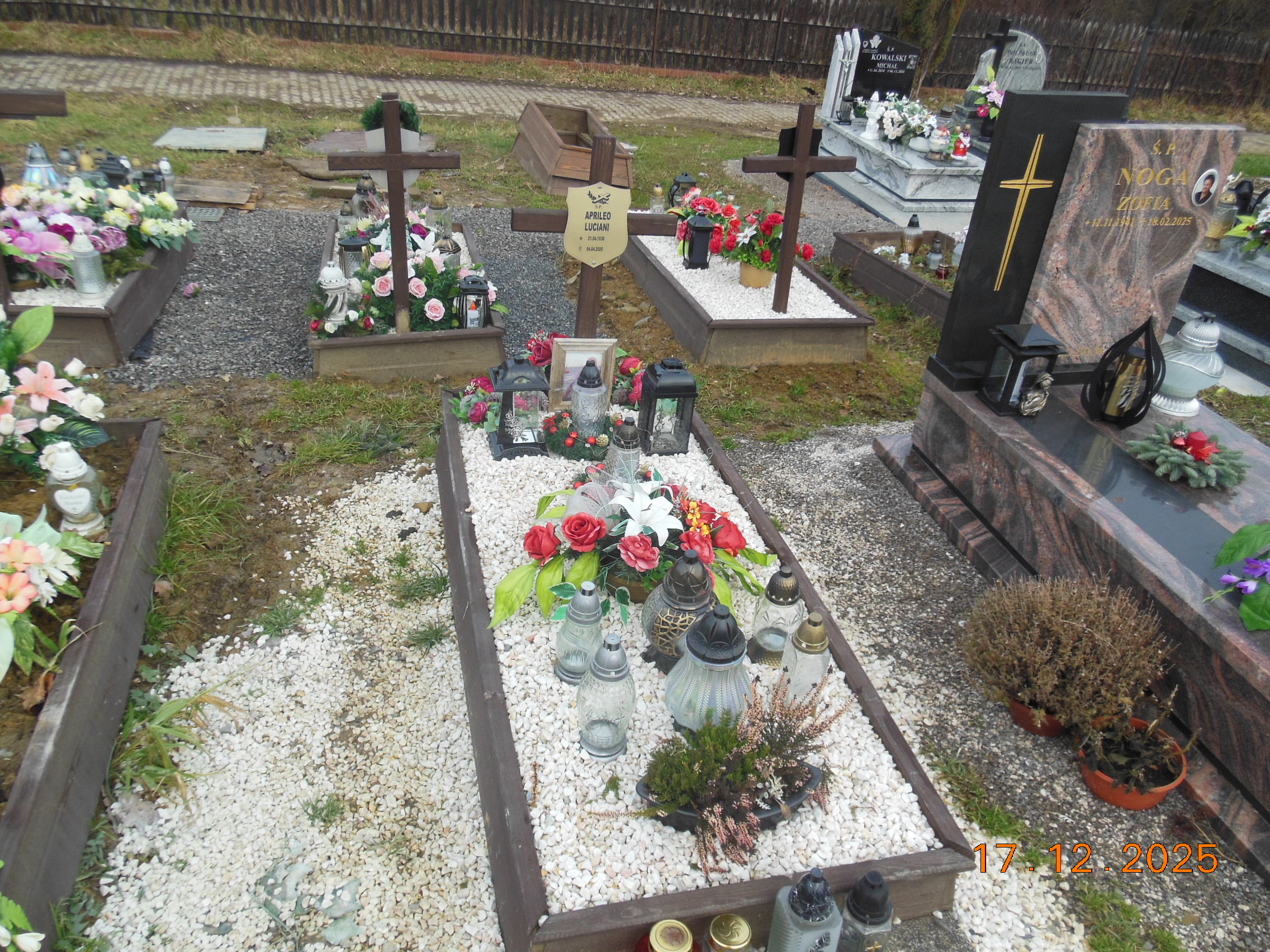 APRILEO LUCIANI 1938 Bielsko-Biała - Grobonet - Wyszukiwarka osób pochowanych