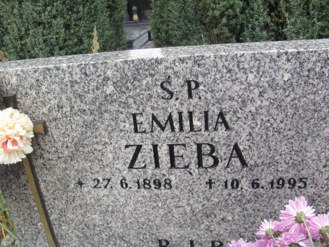 Maria ZIĘBA 1957 Bielsko-Biała - Grobonet - Wyszukiwarka osób pochowanych